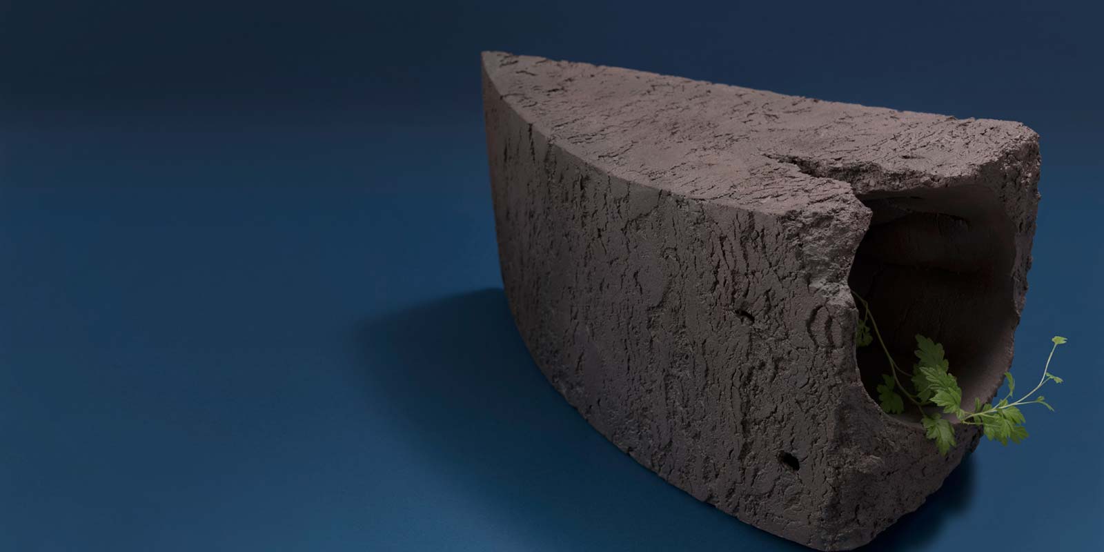 展覧会のご案内