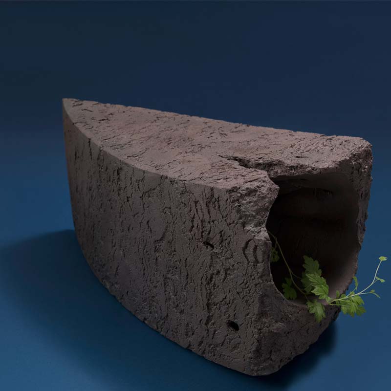 展覧会のご案内